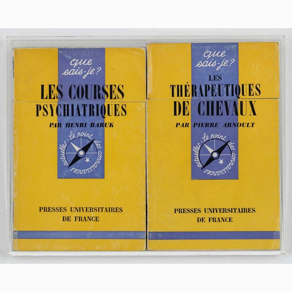 Miller Lévy, Oulipismes (Les courses psychiatrique / Les thérapeutiques de chevaux), 1995