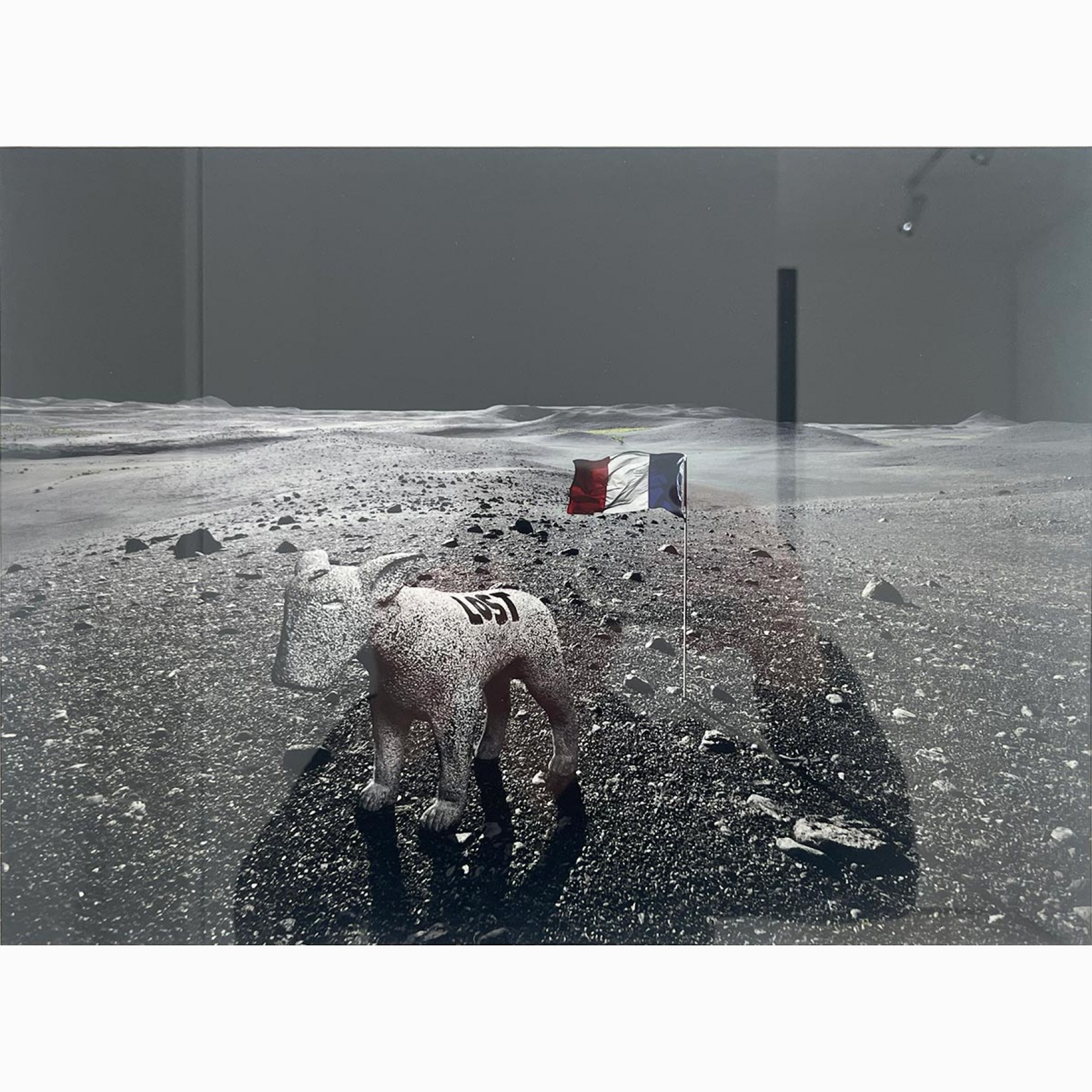  LOSTDOG ON THE MOON (AVEC SEB JANIAK)