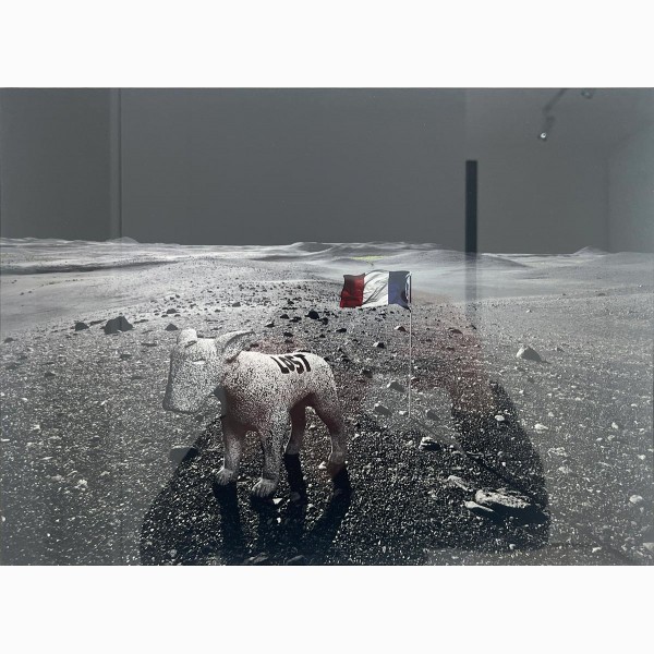  Aurèle, LOSTDOG ON THE MOON (AVEC SEB JANIAK), 2013
