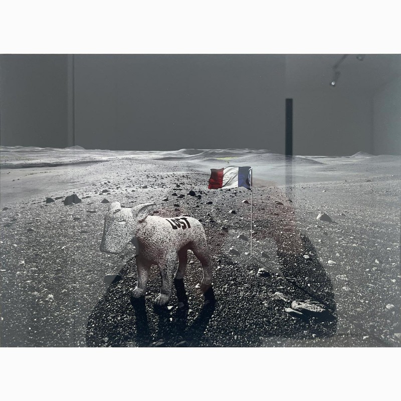 LOSTDOG ON THE MOON (AVEC SEB JANIAK), 2013,  Aurèle