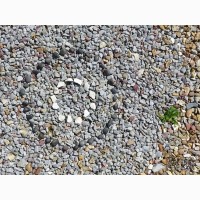 Algorithme rond, 2023, Jean-Luc André